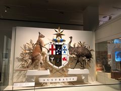 -墨尔本博物馆(Melbourne Museum)