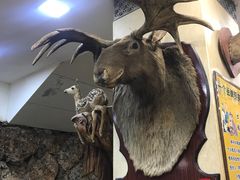 -乔家满族八大碗(流水沟店)