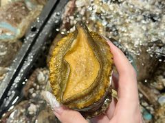 -海鲜e族(马王堆店)