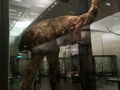 -奥克兰战争纪念博物馆