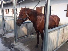 -松声马术俱乐部