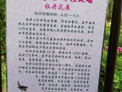 -迎泽公园