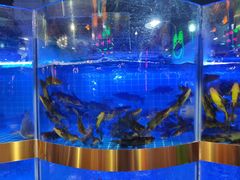 -蛙一刀·麻椒鱼火锅(金仙桥店)