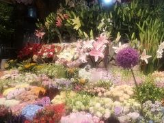 -朝来春花卉市场