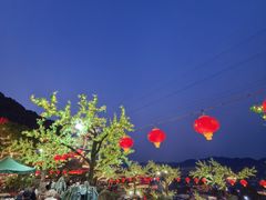 -枇杷园食为鲜火锅(南山店)