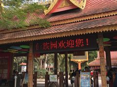 -西双版纳傣族园