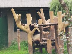 -沈阳森林动物园