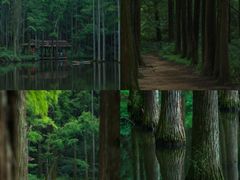 -波尔登森林公园