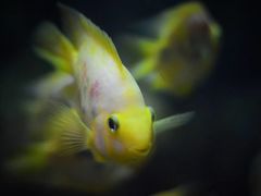 -苏州海洋馆
