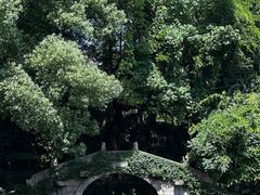 -绮园景区