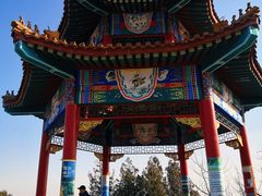 -白水寺森林公园