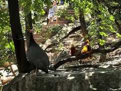 -燕塞湖鸟语林景区