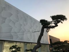 -罗红摄影艺术馆