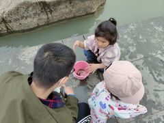 -滆湖低碳生态公园