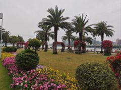 -野狸岛