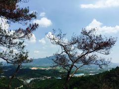 -牛鱼嘴原始生态风景区