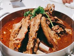 -浩爷羊蝎子火锅(望京店)