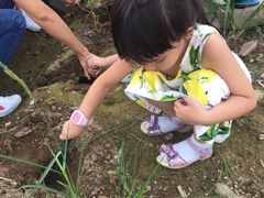 -广州花之恋城堡酒店