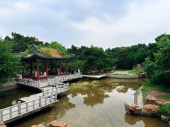 -北陵公园