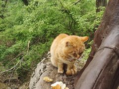 -终南山南五台景区