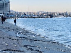 -巧克力渔家.小船海鲜胶东菜(万平口店)