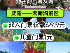 -丹东天桥沟景区