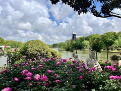 -上海鲜花港
