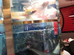 -蜀滋香鲜鱼美蛙火锅(339店)