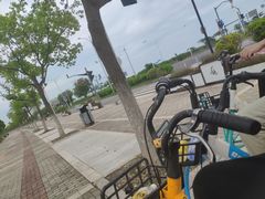 -春花秋色城市公园