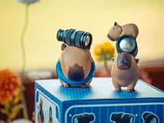 -禧宴Joyous Restaurant(禧园店)