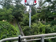 -富斯特索道