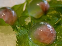 马蹄汁樱花冻-杭州西子湖四季酒店·金沙厅