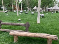 -九十九顶毡房(阜石路店)