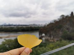 -璟象酒店-爱丽坊景观餐厅