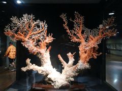 -台北故宫博物院