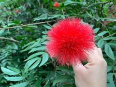 -海南热带野生动植物园