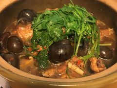 -食爺炭炉鸡煲·烧烤
