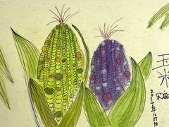 -甲乙果 美术书法(通州校区)