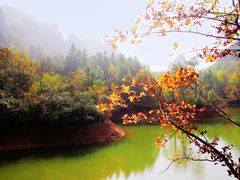 -江西龙虎山景区
