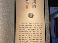 -巴音郭楞蒙古自治州博物馆