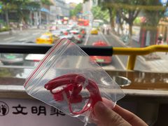 -广州都市观光巴士(粤陶巴)