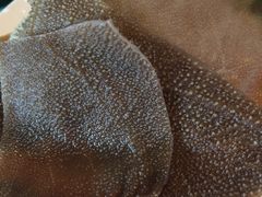 -天都火锅酒楼(虹梅南路店)