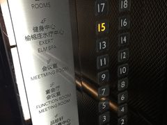 -南桥绿地铂骊酒店