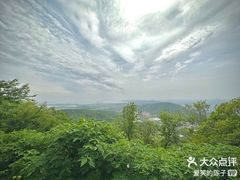 -惠山国家森林公园