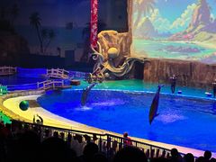 -华夏文旅海洋公园