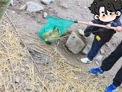 -辫豆HABA儿童馆·创意早教逻辑思维专注力(银泰中心店)
