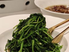 清炒豌豆苗-人间采蜜(海信广场店)