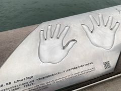 -星光大道