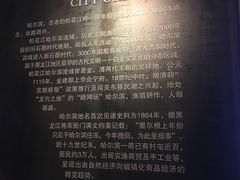 -哈尔滨规划展览馆