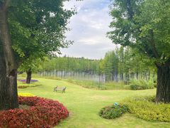 -南京银杏湖乐园